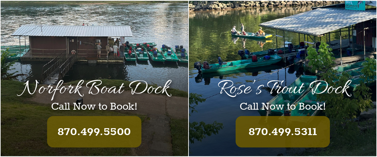 Norfork Boat Dock | Rose's Trout Dock | Call Now to Book!